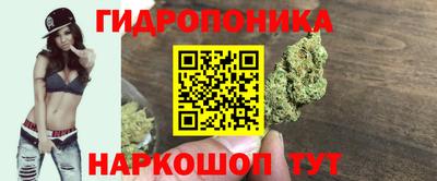 jwh Кинель
