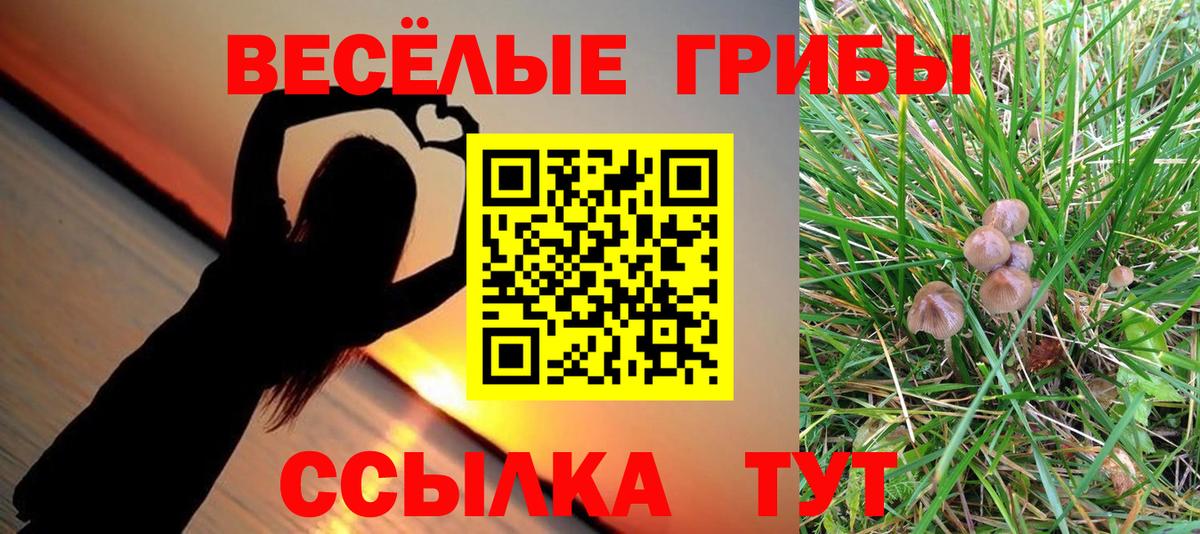 Вологда  Псилоцибиновые грибы Cubensis  Вход с VPN 