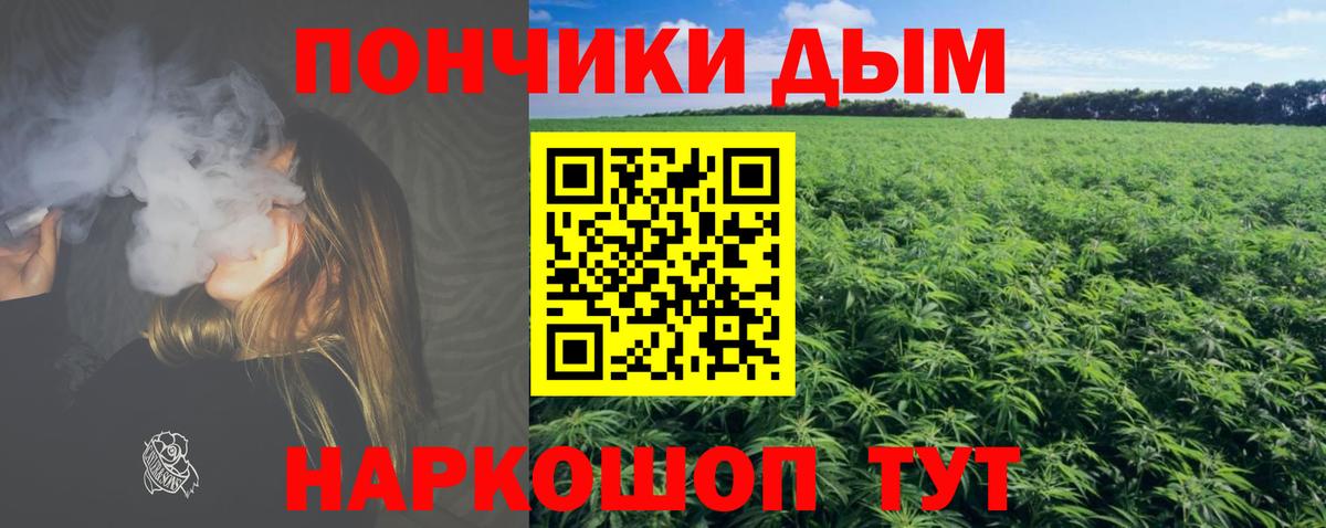 Бошки марихуана VHQ Вологда
